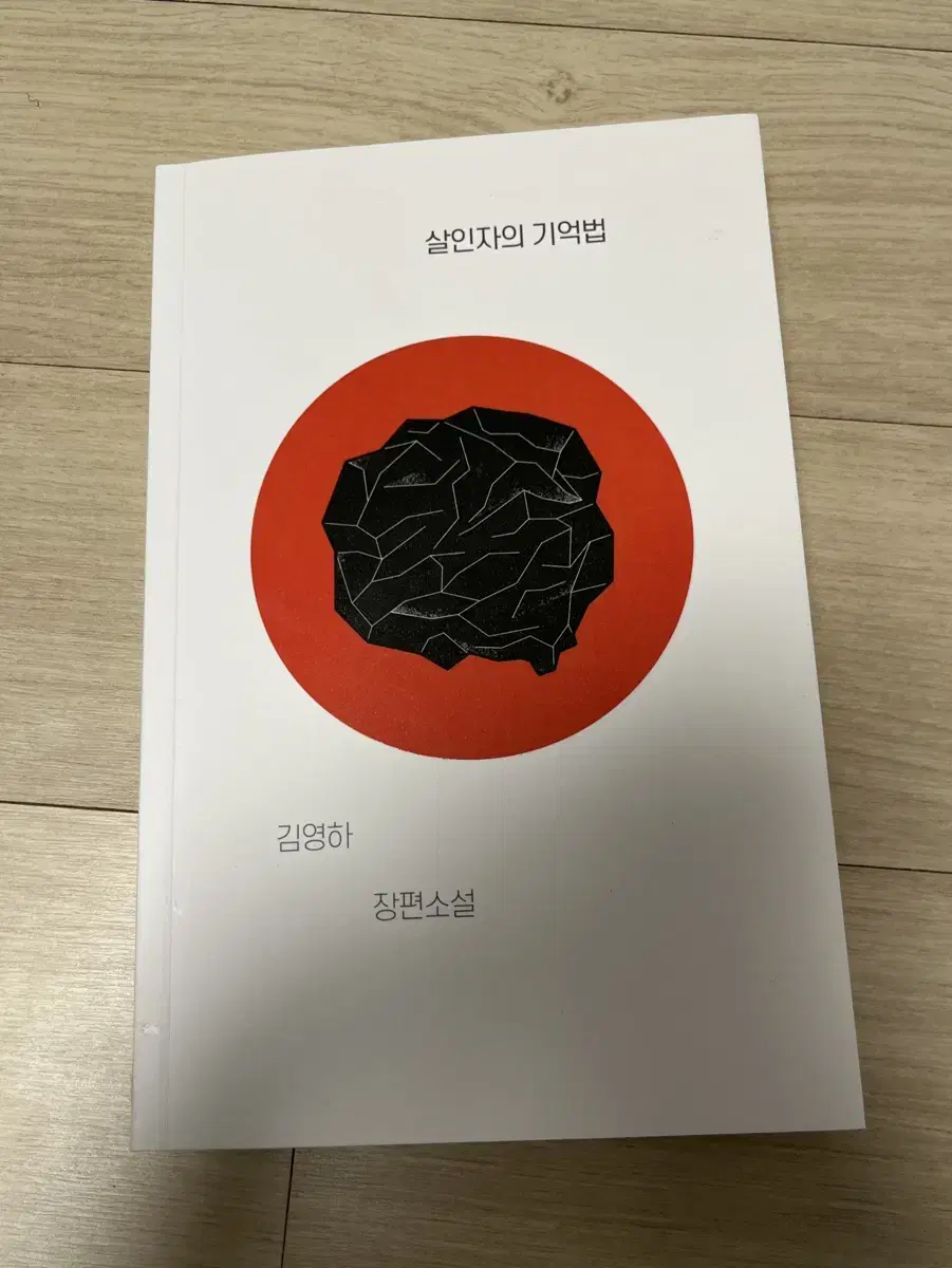 살인자의 기억법 책